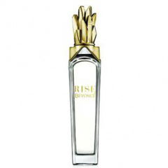 Beyoncé Rise Sheer