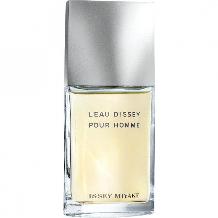 Issey Miyake L'Eau d'Issey pour Homme EAU DE TOILETTE FRAÎCHE Perfume Bottle