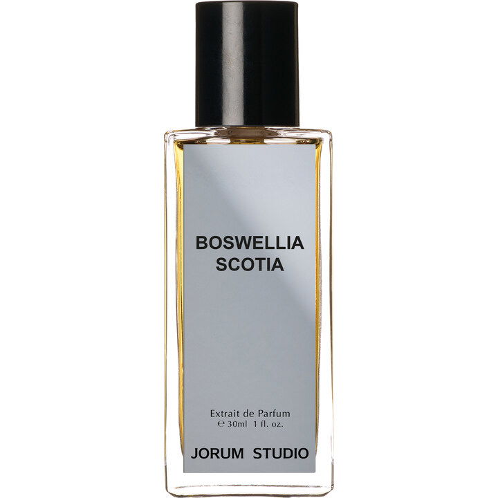 Jorum Studio Boswellia Scotia