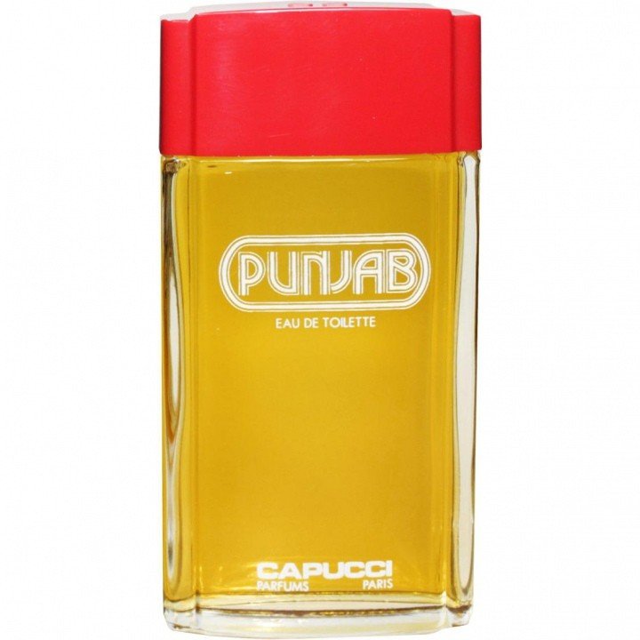 Punjab EAU DE TOILETTE