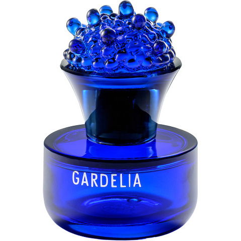 Bogue Gardelia (2025)