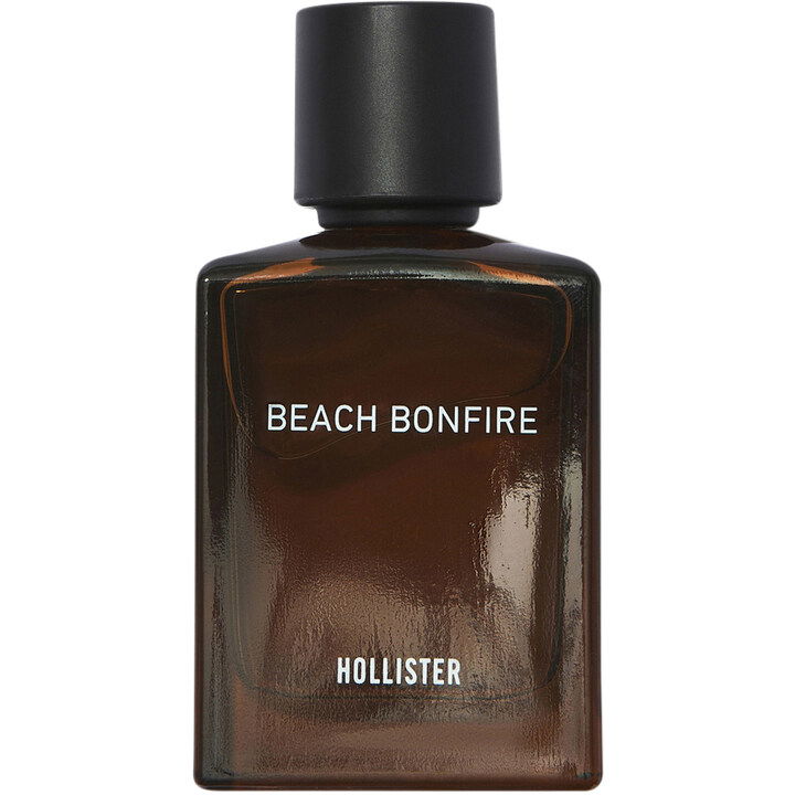 Hollister Beach Bonfire