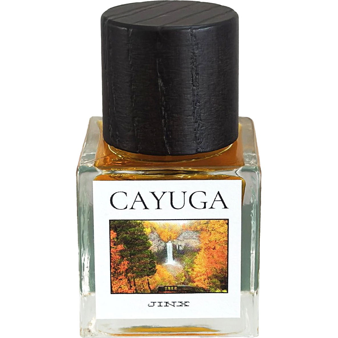 Cayuga