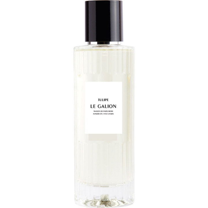 Le Galion Tulipe