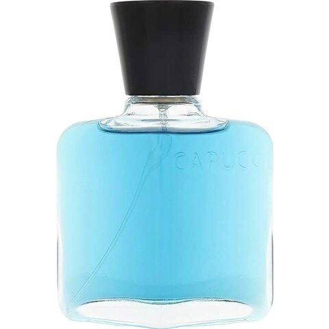 Roberto Capucci Blu Water AFTER SHAVE Perfume Bottle