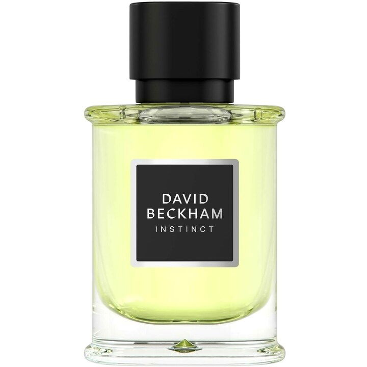 David Beckham Instinct EAU DE PARFUM Perfume Bottle