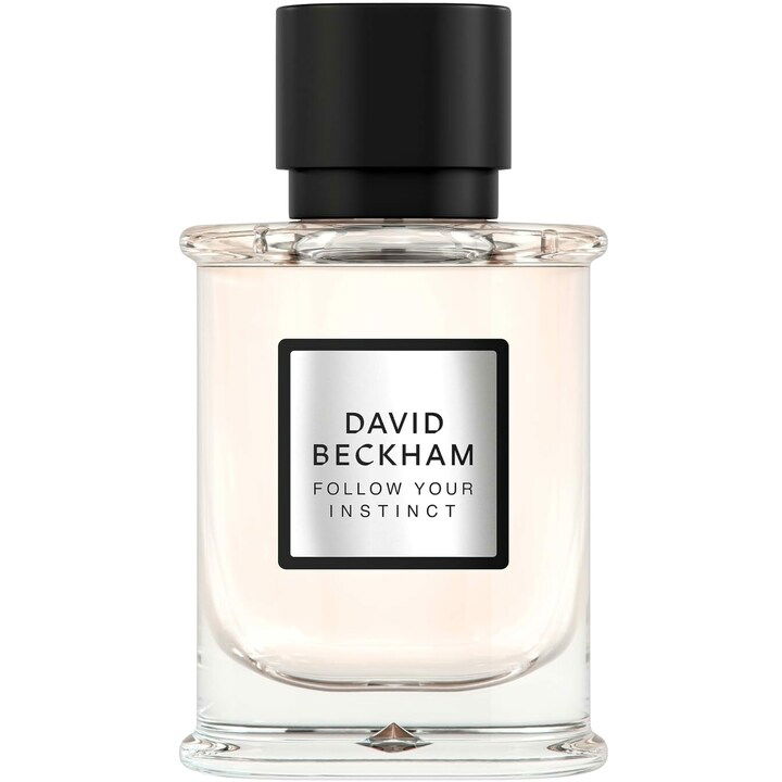 David Beckham Follow Your Instinct EAU DE PARFUM