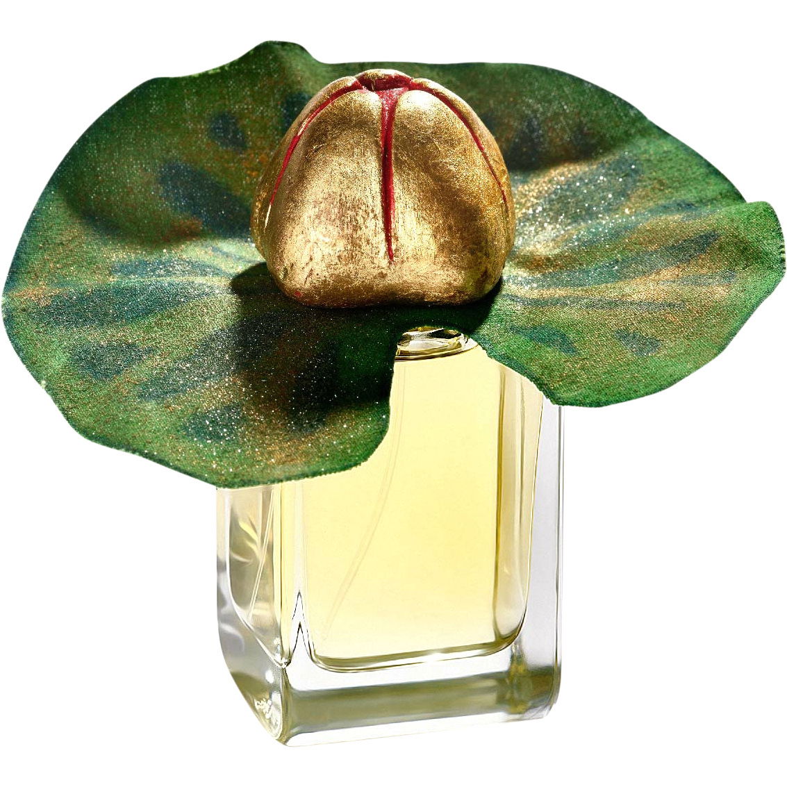 Mauna Limited Edition