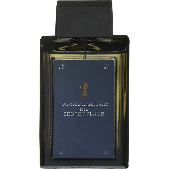 Antonio Banderas The Secret Flame