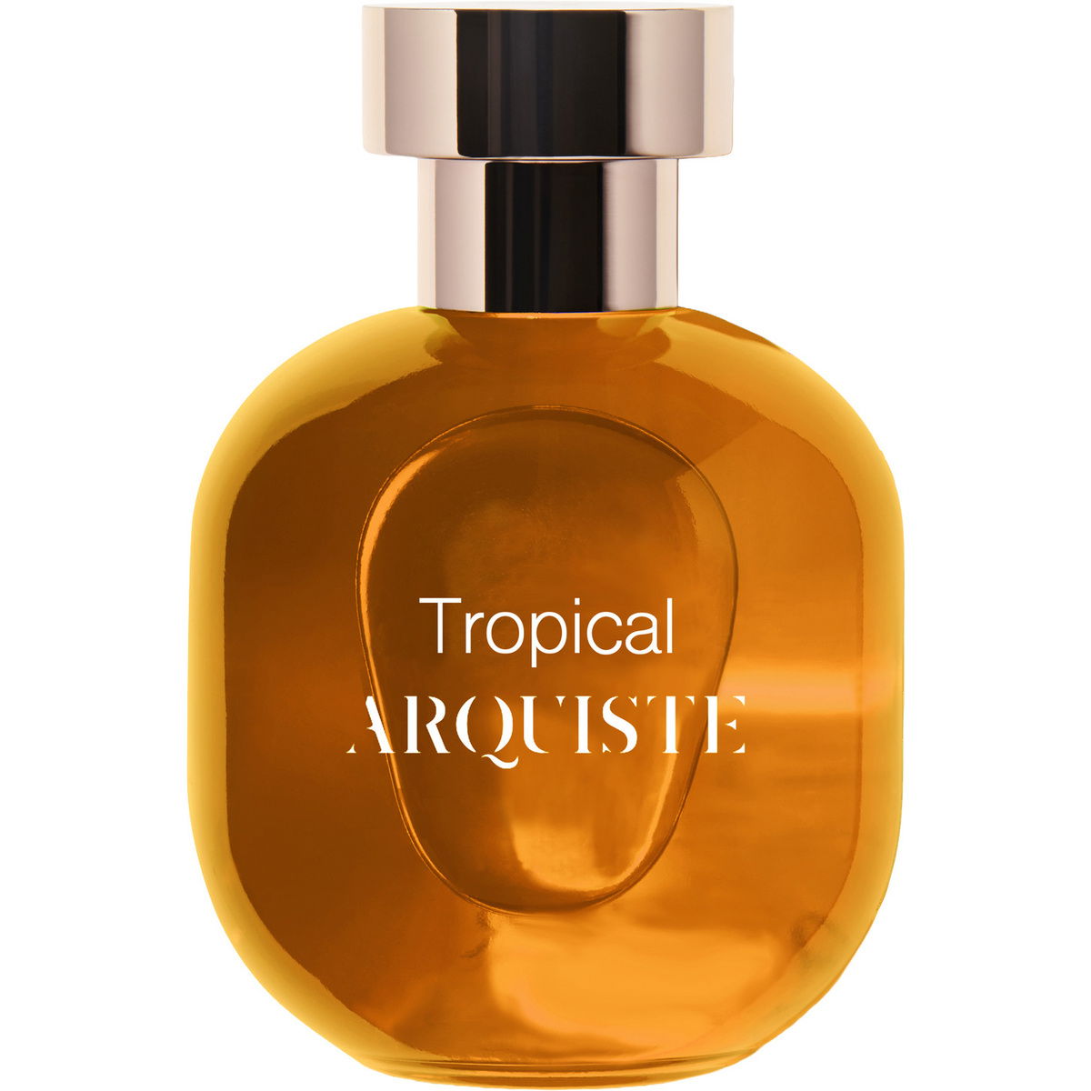 Arquiste Tropical
