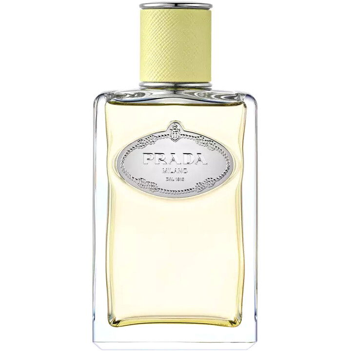 Prada Infusion de Gingembre
