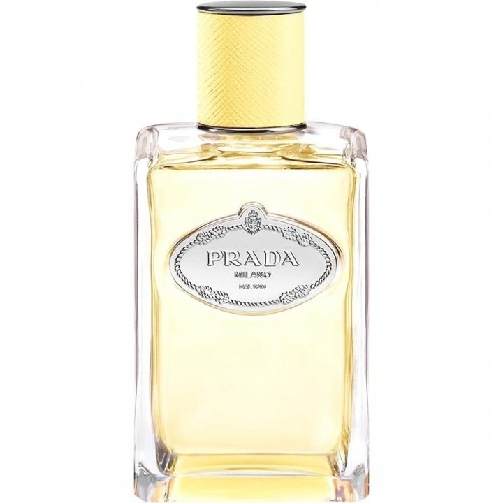 Prada Infusion de Mimosa Perfume Bottle