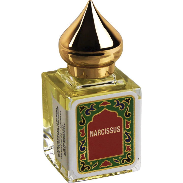 Narcissus