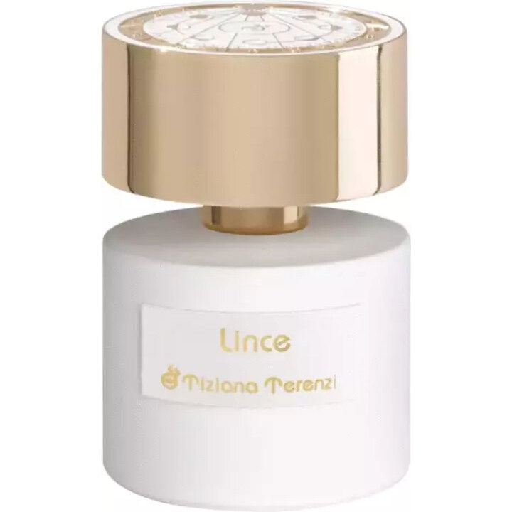 Lince