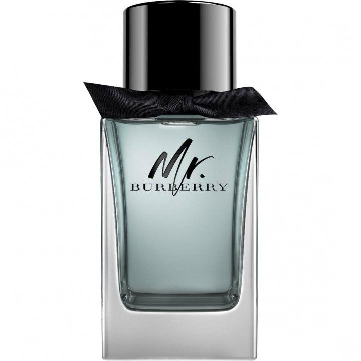 Mr. Burberry EAU DE TOILETTE