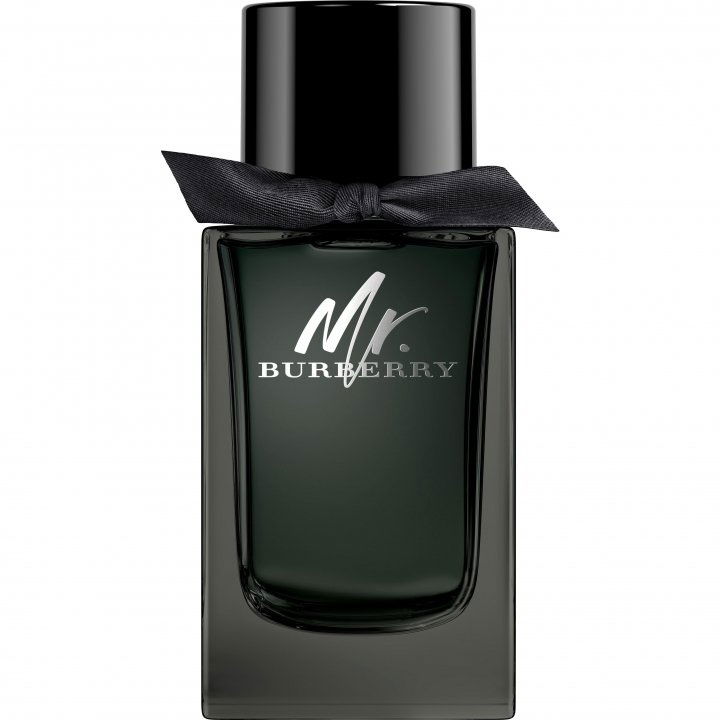 Burberry Mr. Burberry EAU DE PARFUM Perfume Bottle