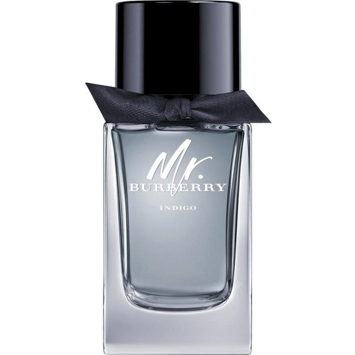 Burberry Mr. Burberry Indigo