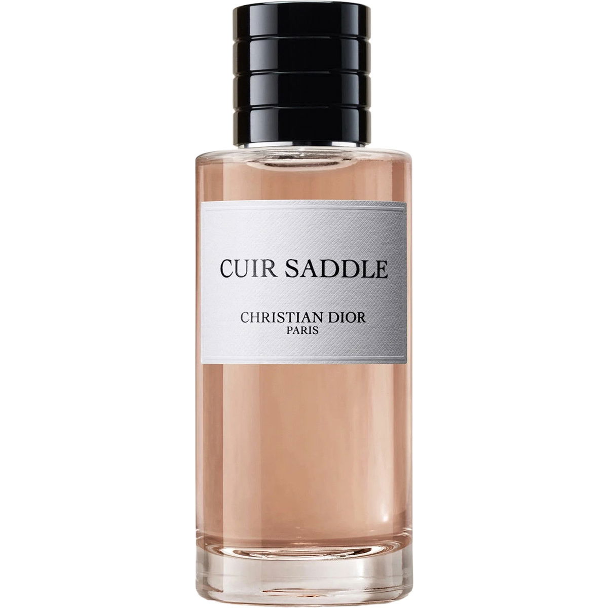 Dior Cuir Saddle