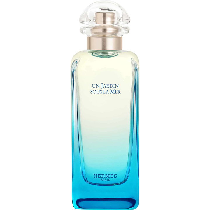 Hermès Un Jardin Sous la Mer