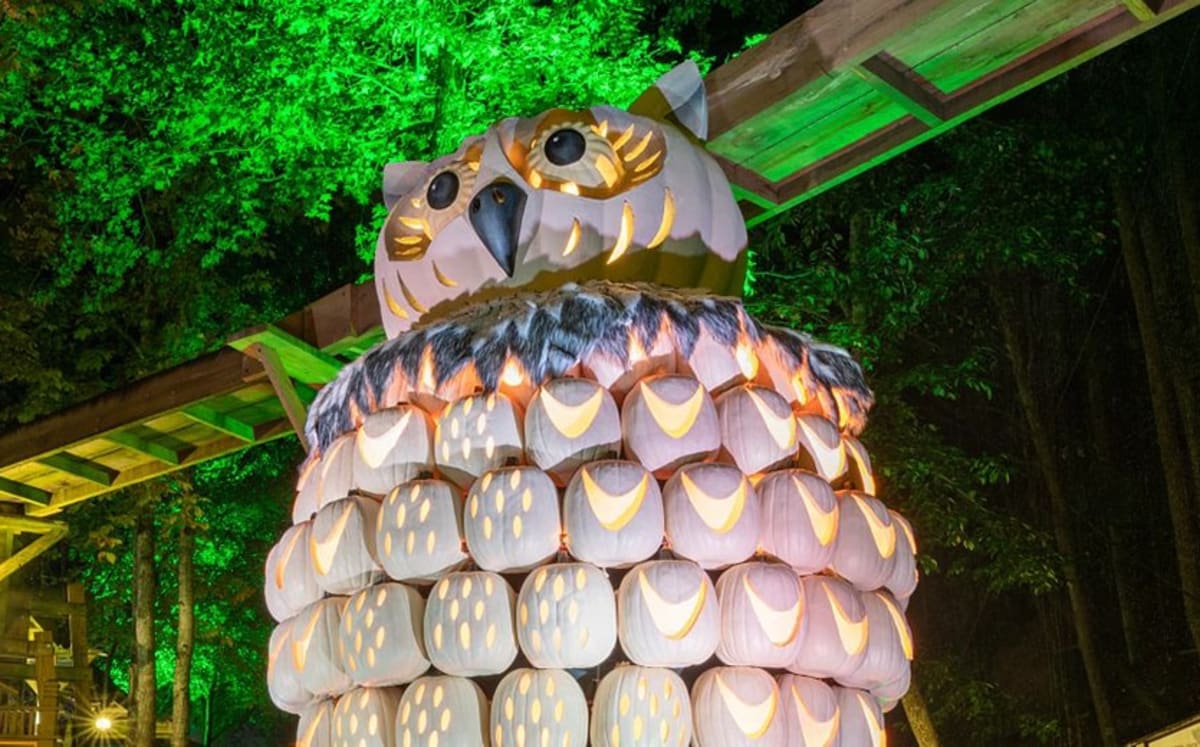 Hoot Owl Hollow pumpkin owl at Dollywood Harvest Festival.
