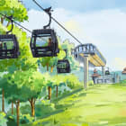 Anakeesta Making More Magic