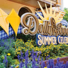 Dollywood Summer