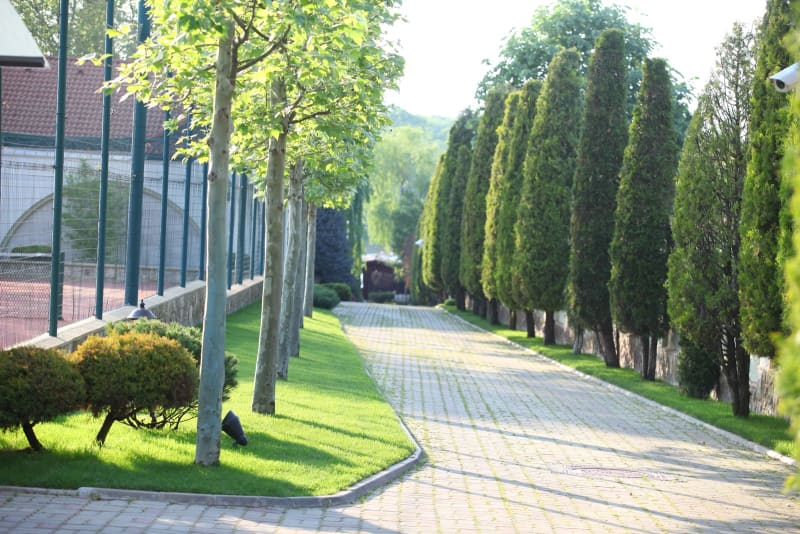 Domeniu Snagov | Reședință magnifică pe malul lacului - foto 1