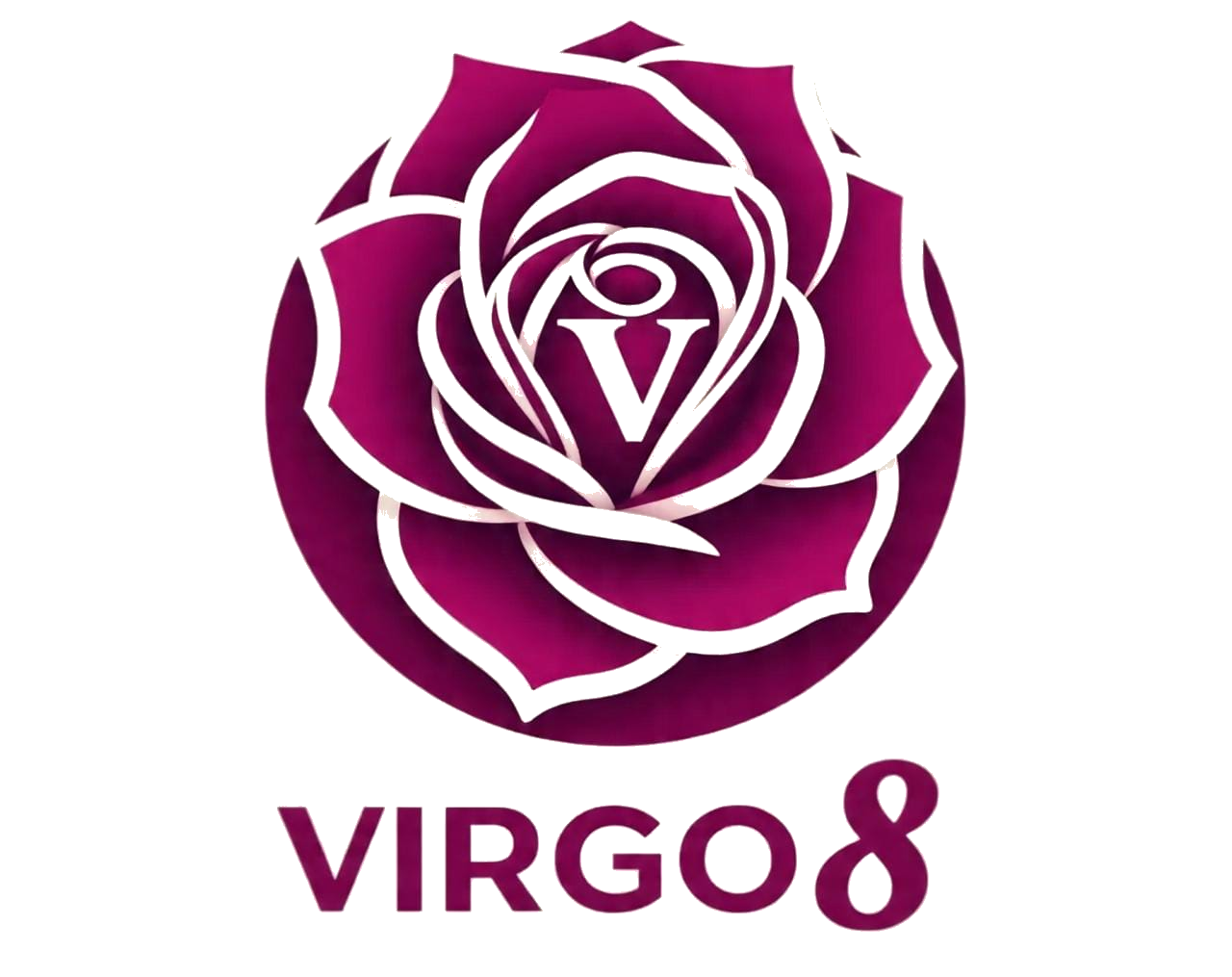 VIRGO8 Logo