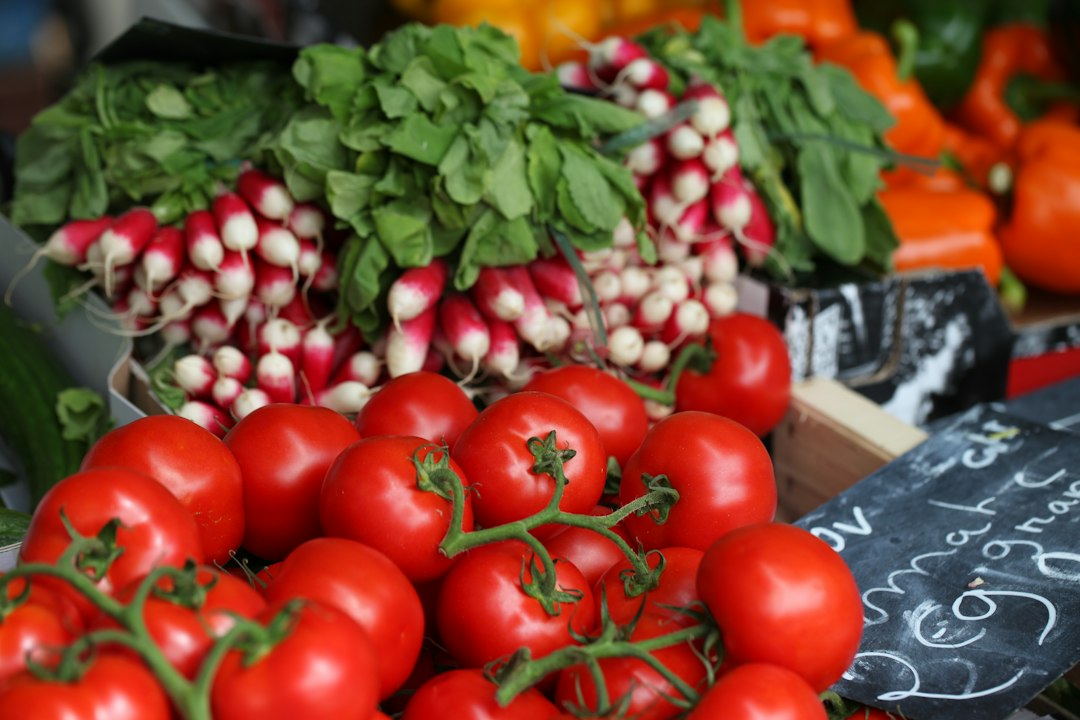 11 Recetas para Controlar el Colesterol Alto y Cuidar tu Salud