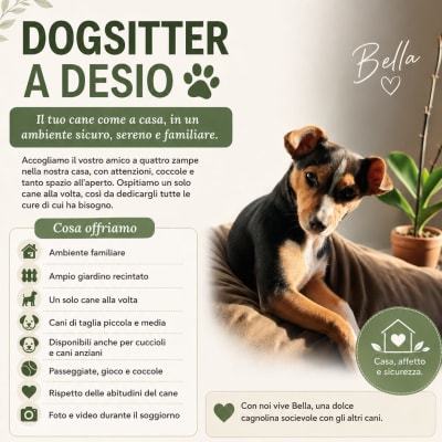Dogsitter a Desio - Il tuo cane a casa nostra