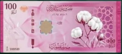 100 ليرة جديد