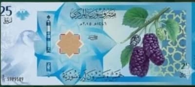 25 ليرة جديد