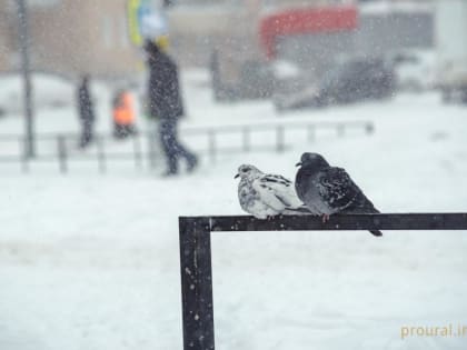 В Башкирии температура воздуха опустится до -25°