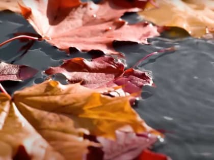 В выходные погода в Башкирии очень сильно изменится