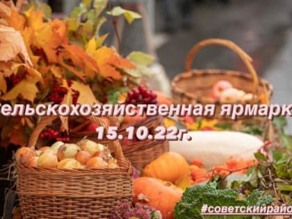 За свежими продуктами - на ярмарку