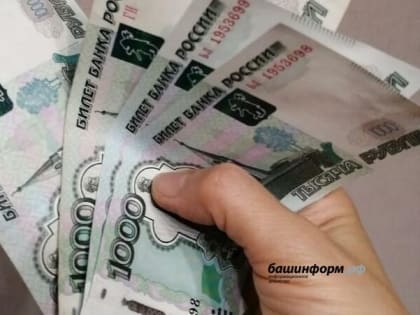 Индивидуальные предприниматели и самозанятые в Башкирии получат 250 тысяч рублей