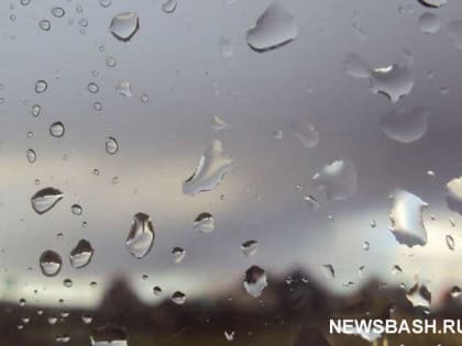 В Башкирии  на выходные прогнозируются дожди
