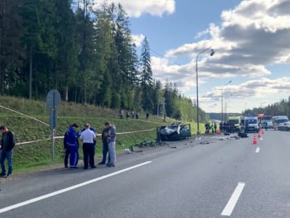 Две школьницы из Уфы пострадали в ДТП на трассе «Скандинавия» в Ленобласти