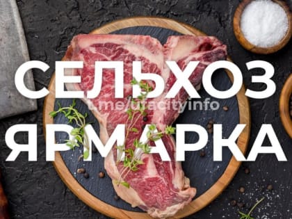Уфимцев ждут на ярмарках