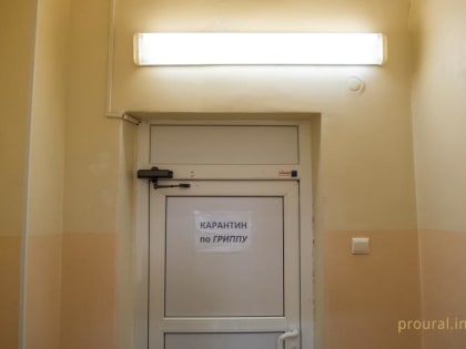 В Башкирии за неделю 67 человек заразились гриппом