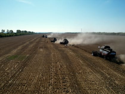 Сбор урожая в Башкирии достиг 550 тысяч гектаров