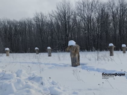 Дайджест экономических новостей Башкирии за 20-26 февраля