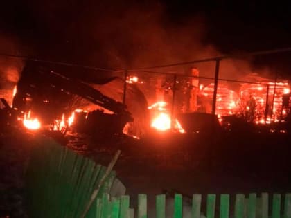 В Башкирии на пепелище обнаружили останки двух человек
