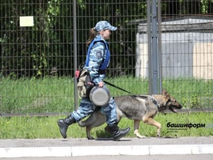 Житель Башкирии сообщил о заложенной бомбе в здании пенсионного фонда