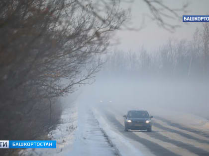 Жителей Башкирии предупредили о сильном ветре, тумане и гололедице