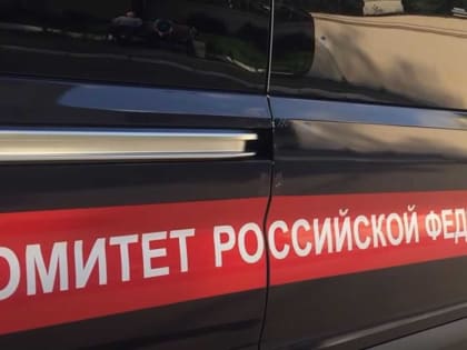 В Башкирии женщина несколько раз ударила ножом мужа, который набросился на нее с топором