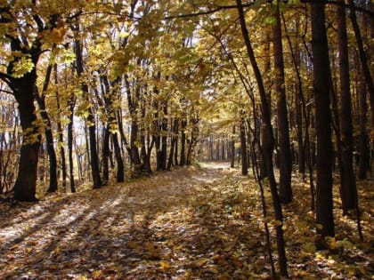 Теплый воздух с Атлантики придет в Башкирию