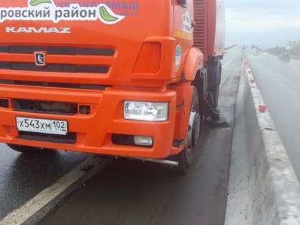 Чистые улицы, красивые деревья- ежедневная задача коммунальных служб