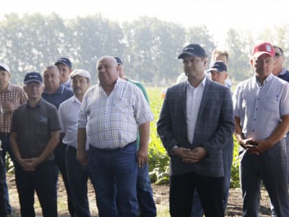 В Чишминском районе Башкортостана обсудили «сладкий» урожай