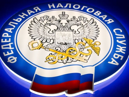 Заявку на регистрацию ИП можно подать с помощью смартфона